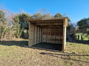 Shelter