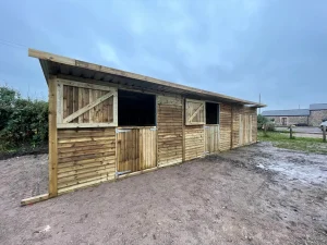 36x12-double-stable-top-door